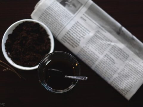 „Das Wissen wird nicht mehr in großem Maß abgefragt und auch nicht mehr vorausgesetzt“