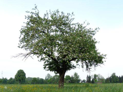 Kein globales Plastikabkommen erreicht