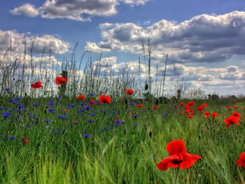 Sex in Langzeitbeziehungen: wenig, weniger, gar nicht? Sex in Langzeitbeziehungen: wenig, weniger, gar nicht?