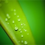 Hass im Internet: TV-Wettermoderatoren als Zielscheibe