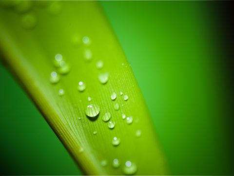 Spahn erwägt Verbot: Sind Tik Tok & Co. wie eine Droge? Spahn erwägt Verbot: Sind Tik Tok & Co. wie eine Droge?