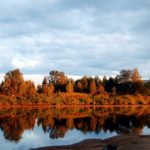 Fettleber: Wohlstand führt zur Zunahme in USA und Indien