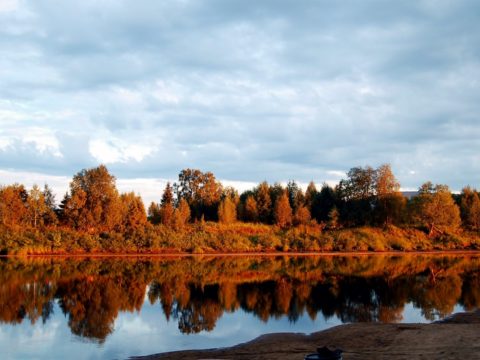 TikTok wie Heroin? Macht Social Media Jugendliche süchtig?