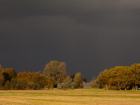 Medikamente ändern bei Hitze gefählich die Wirkung