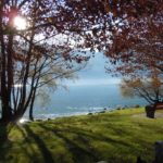 TikTok wie Heroin? Macht Social Media Jugendliche süchtig?