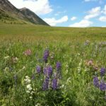 Vorsicht Weihnachtsgeschenke! Spielzeug kann Kindern schaden